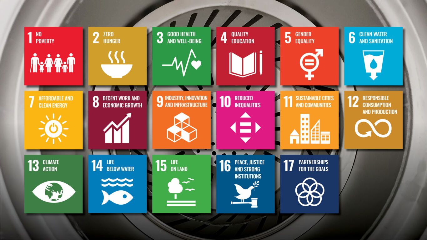 17 goals for sustainable development (EN)